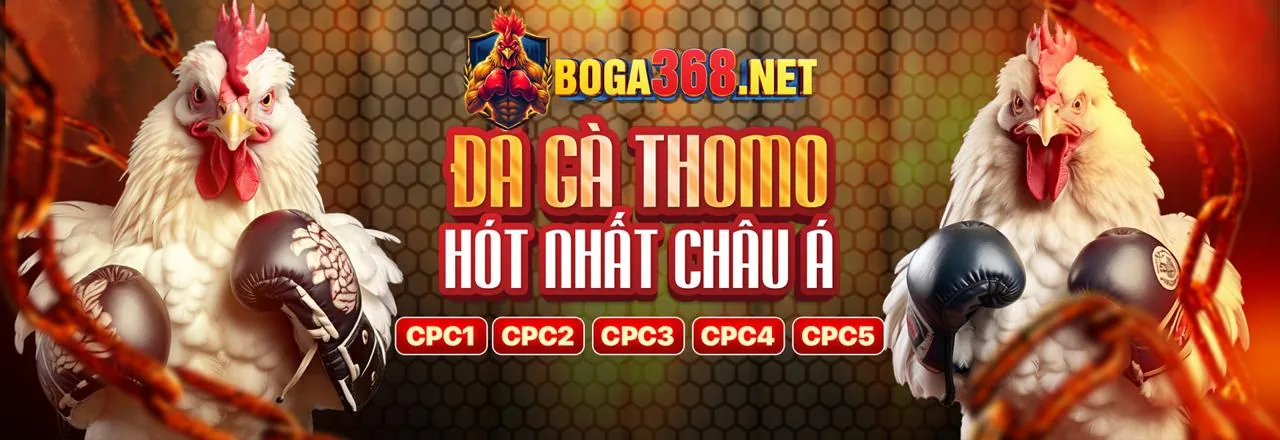 Cam kết của UC88 chính thức về bảo vệ dữ liệu